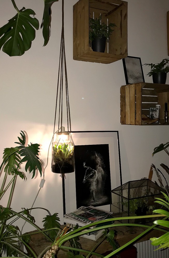 DIY het mini-planten ecosysteem