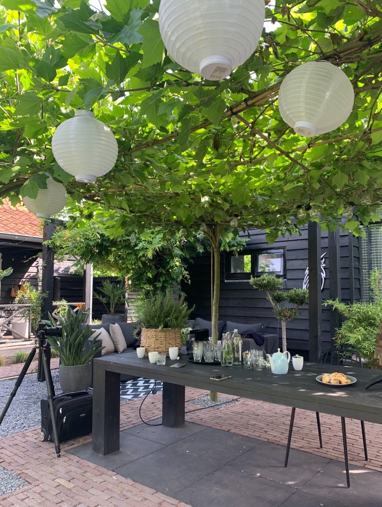 tuin