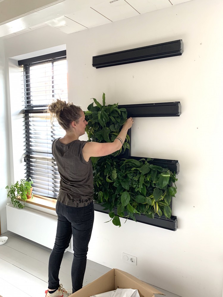 groep Karu ik ben trots Plantenwand in huis! - Jellina Detmar Interieur & Styling blog