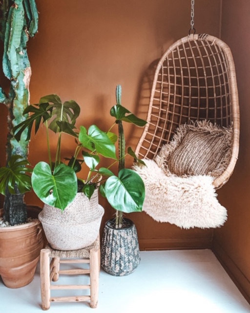 Urban jungle interior blog