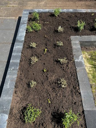 Voorjaar, tijd voor de tuin