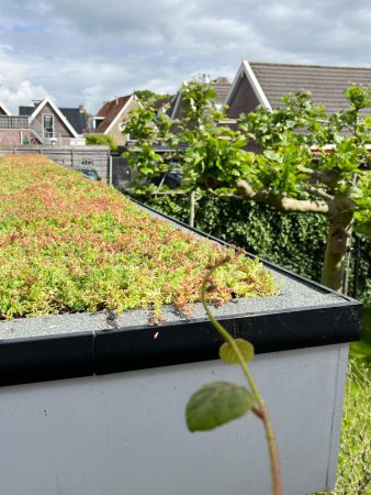 Een groen dak van MobiRoof ECO!