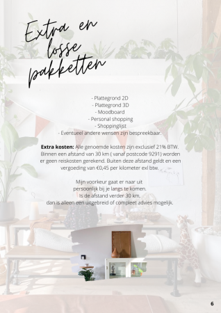 interieur advies