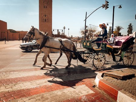 Marrakesh 