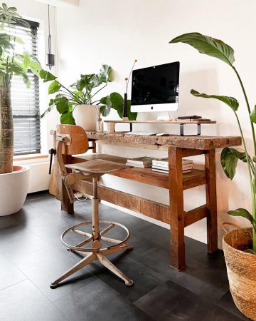 planten