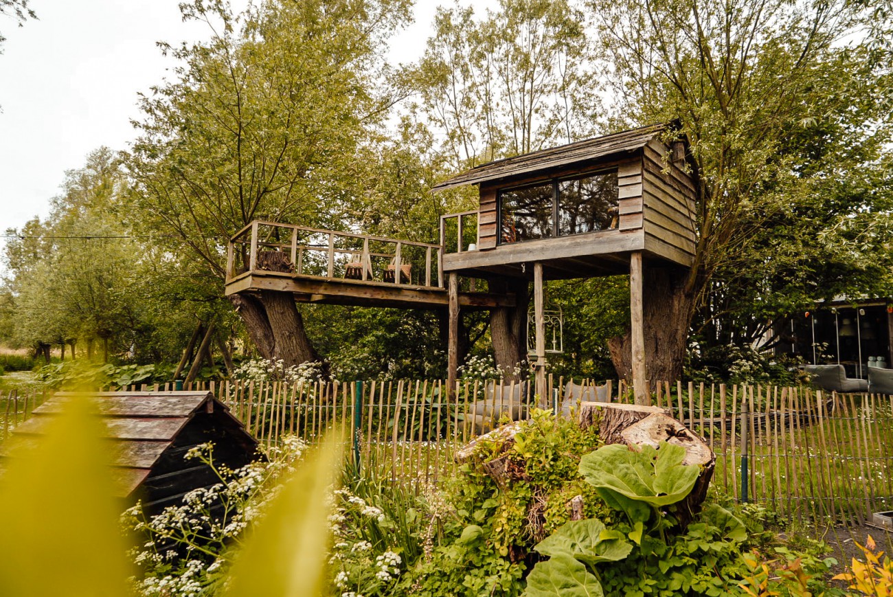 Logeren in een boomhut